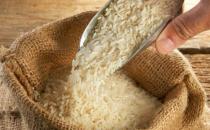 大米生了虫 预防大米生虫的措施